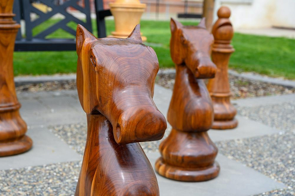 В Санкт-Петербурге отметят День шахмат