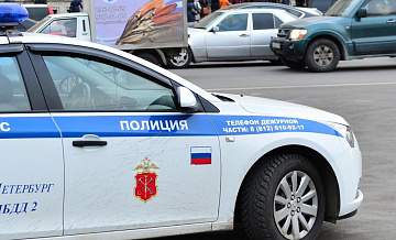 Полуголого депутата задержали после пряток в кустах в Комарово